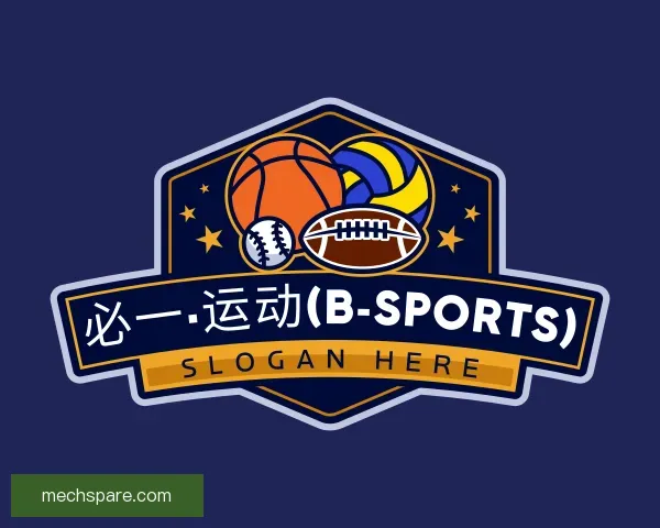 关于Bsports官方网站进入